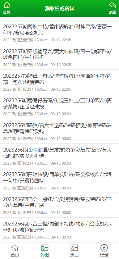 新澳門(mén)資料大全正版資料2023,新澳門(mén)資料大全正版資料2023，探索與解讀