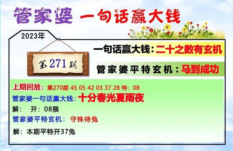 澳門一肖一碼100管家婆9995,澳門一肖一碼與管家婆9995，探索與解析