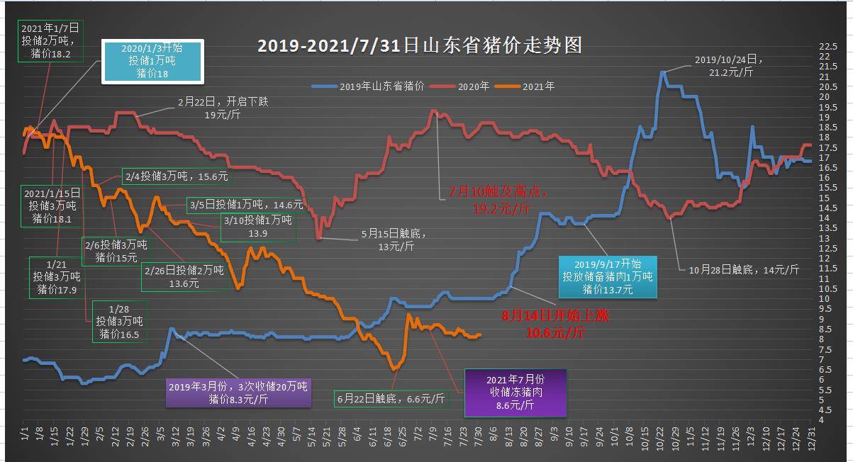 2023年澳門特馬今晚開碼,澳門特馬今晚開碼，探索未來的繁榮與機(jī)遇