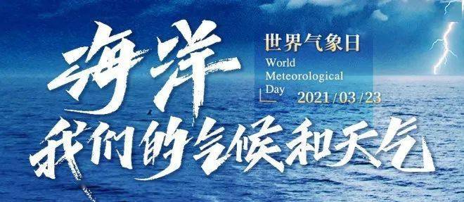 494949澳門今晚開什么,探索澳門今晚的開彩奧秘，494949的魅力與預測