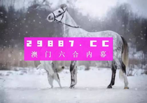 澳門精準(zhǔn)一肖一碼一碼,澳門精準(zhǔn)一肖一碼一碼，探索背后的秘密