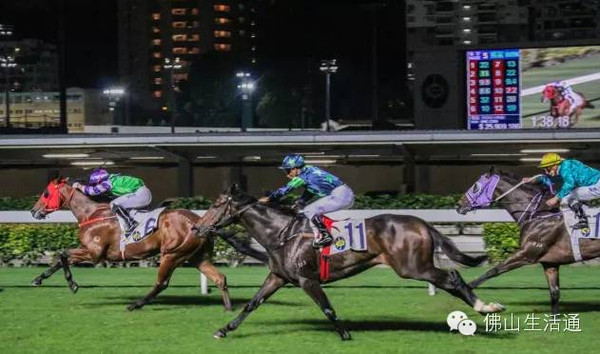 香港最準馬會資料免費,香港最準馬會資料免費，探索賽馬世界的秘密